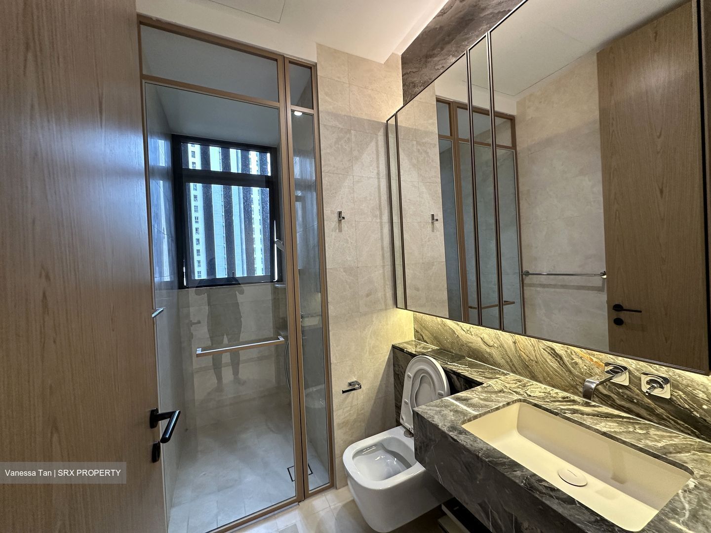 The Avenir (D9), Condominium #586216721